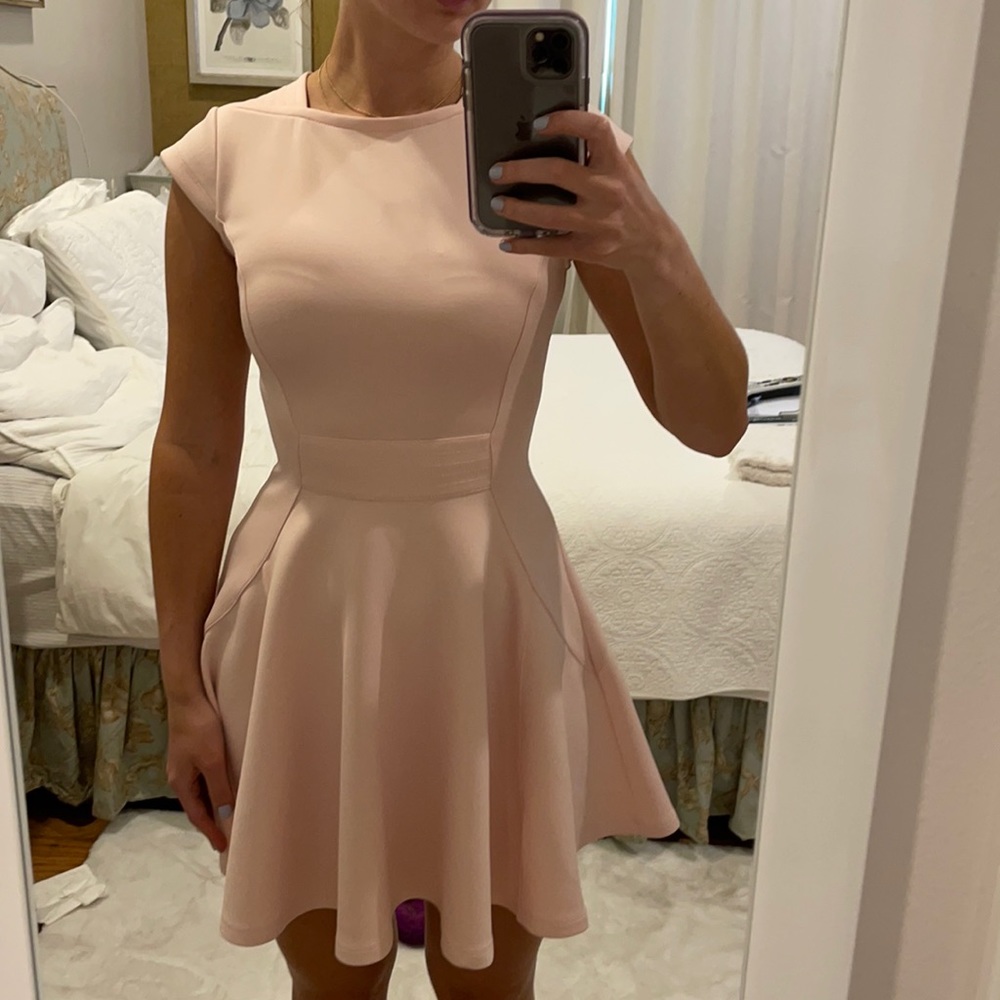 Blush pink Ted Baker dress with rose gold zipper